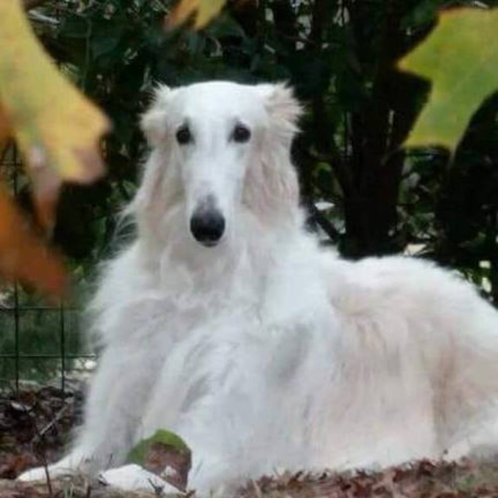 Meet your Posher, Chelle